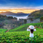 Quand partir au Vietnam ?