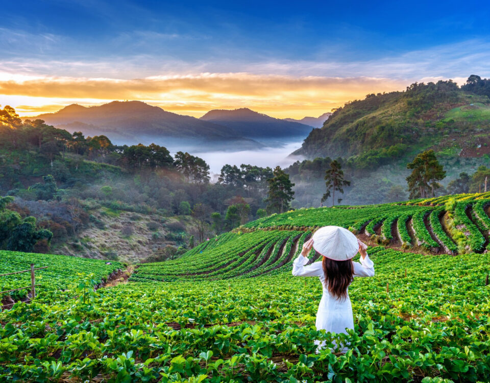 Quand partir au Vietnam ?